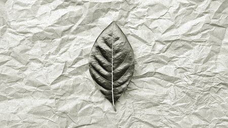 alone leaf on crumpled natural brown recycled paper texture - backgroundの写真素材