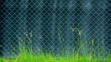 green cage metal wire front a black canvasの写真素材