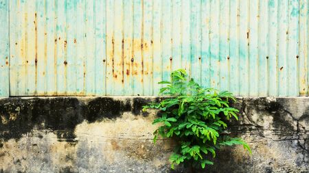 old and rusty galvanized iron wallの写真素材