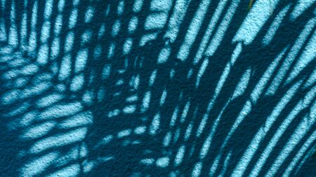 shadow of palm leaves on blue concrete wall