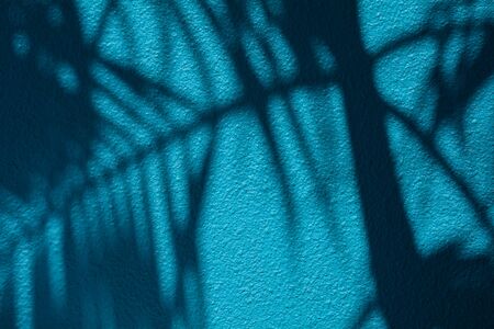 shadow of palm leaves on blue concrete wall