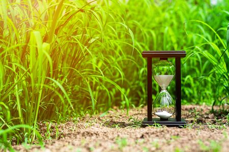 small hourglass in green grass field. - measuring the passing time and countdown to a deadline.の写真素材