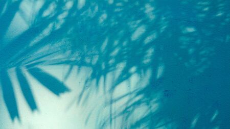 palm leaves shadow on blue cement wallの写真素材