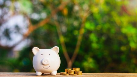 piggy bank and a golden coins stack on old wooden table. - business and management concept.
