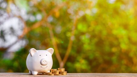 piggy bank and a golden coins stack on old wooden table. - business and management concept.の写真素材