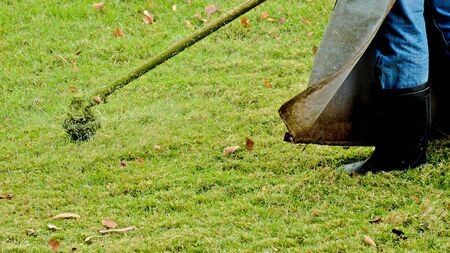 the human use the lawn mower in  the garden