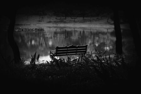 lonely bench in the park - monochrome