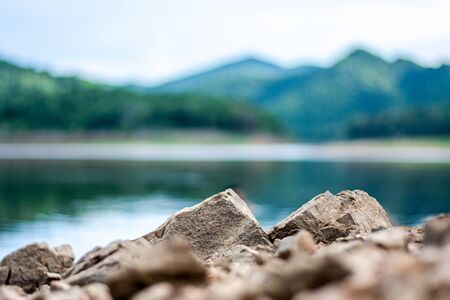small rock in the forest.の写真素材