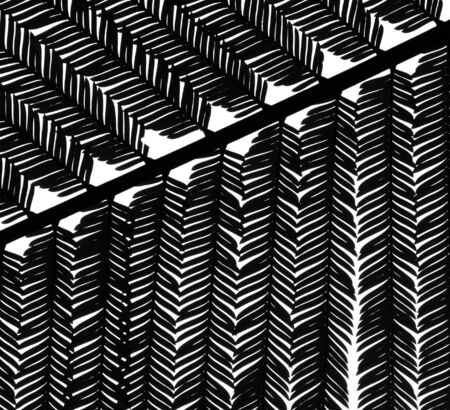 closeup leaf pattern - silhouetteの写真素材