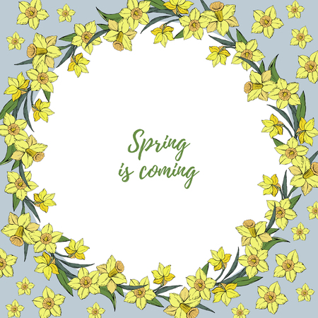 Vector template banners or flyers with floral yellow narcissus wreath and space for text, hand draw illustrationのイラスト素材