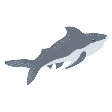 Swimming blue shark isolated on whiteのイラスト素材