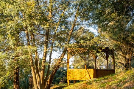 bungalow among tropical trees, gazebo among nature, concept of connecting with nature, blurred selective focusの写真素材