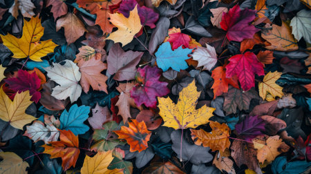 seasonal foliage, vibrant fall foliage lays on the ground, a striking symbol of seasonal transition and the approaching harvest seasonの素材