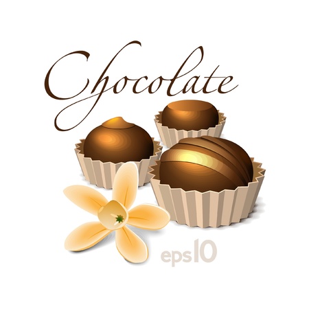 Chocolate Candy With Vanilla Flowerのイラスト素材