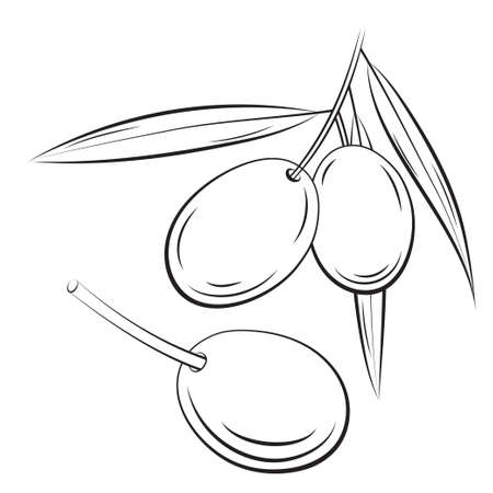 Olive engraving black and white line artのイラスト素材