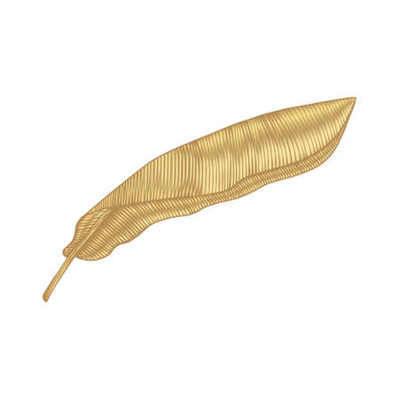 Tropical golden leaf on white background. Elegant exotic decoration for cosmetics, spa, perfume, health care products, tourist agency, summer party invitation, aroma.のイラスト素材