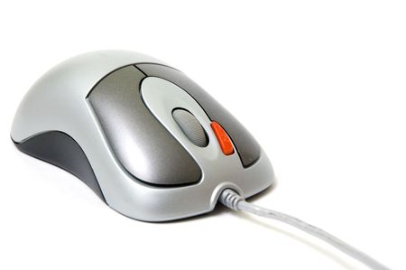mouse
