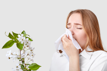 Photo of young woman keeps handkerchief near nose, has allergy to tree blossom, wears elegant shirt, isolated over white background. People, sensitivity, allergy, sickness, sneezing concept.の写真素材