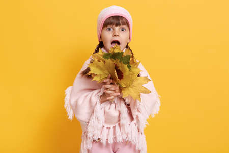 Little fashionable girl in warm clothes holding bouquet of autumn leaves, looks at camera with big eyes and astonished facial expression, stands against yellow wall.の写真素材
