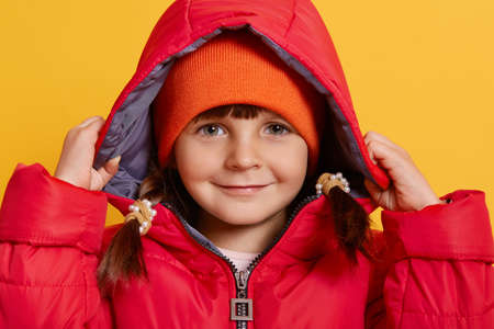 Stylish kid girl 4-5 year old wearing autumn jacket and orange cap, looking at camera, walking in autumn season, standing isolated over yellow background.の写真素材