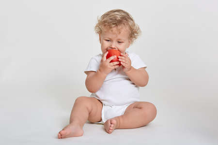 Cute little baby in body suit biting in red ripe apple while sitting barefoot on floor isolated over white background, blond curly haired infant feels hungry, having snack.の写真素材