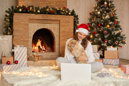 Happy girl in red hat having video call on laptop and sitting with cute dog at christmas tree with lights and presents in festive roomの写真素材