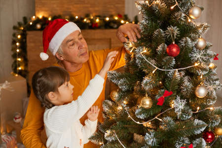 Family decorating christmas tree at home, grandfather spending time with his daughter on new year eve, senior man wearing santa claus hat and yellow shirt, child with pigtails in white jumper.の写真素材