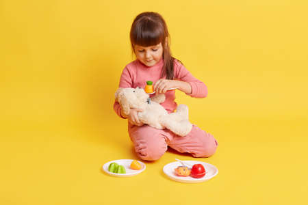 Little European dark haired female child sitting on floor and playing with toys, girl holding soft dogs in hands and feeding him with plastic toy vegetables from white plate, kid wearing pink attire.の写真素材