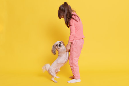 Full length of little girl playing with he pet, little dog standing on two legs, kid holding puppy's paws in her hands and looking at it, posing isolated over yellow background.の写真素材
