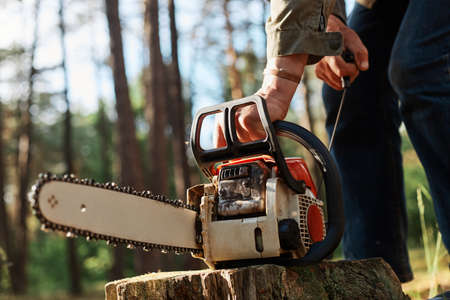 Faceless forester starting chainsaw for cutting trees in forest, planned deforestation, special equipment for logging, unknown person working in wood.の写真素材