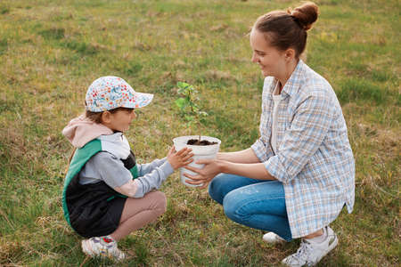 Full length profile portrait of kind little girl holding pot with raspberry seedlings together with mommy, smiling cute gardeners being going to plant tasty berry bush.の写真素材