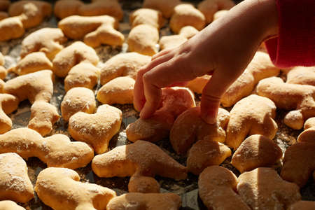 Side view of baking sheet with baked different shape cookies, little child hand taking tasty snack,...