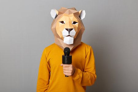 Indoor shot of anonymous man wearing casual sweater and paper king mask standing isolated over gray background, standing with microphone, reporter working, journalist, interview.の写真素材