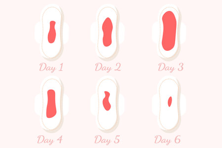 Female regular menstrual cycle, menstrual period, menstruation. Menstrual sanitary napkin pattern with blood drops during all period days, menstruation and hygiene products for women.のイラスト素材