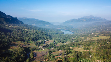 Forest with a river in Sri Lanka from the height of bird flight
