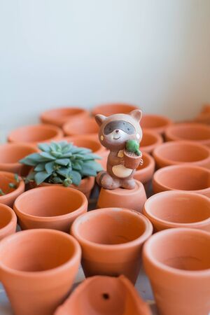 Mini terracotta pots with succulents on a white background.の写真素材