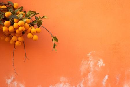 Citrus tree in a pot against an orange wall.の素材