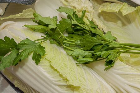 washed leaves of Chinese cabbage, bok choy and parsley