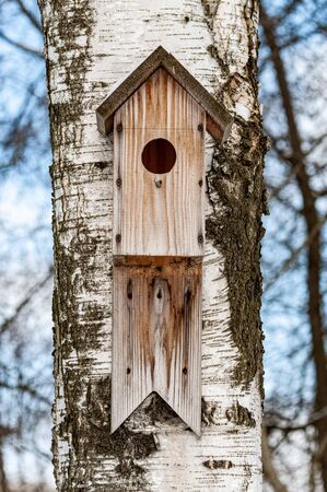 birdhouse of unprocessed wood on birch. Close upの写真素材