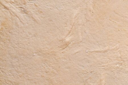 abstract background from the rolled dough. pizza doughの写真素材