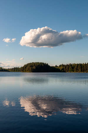 peaceful summer landscape with a large white cloud reflected in a forest lakeの写真素材
