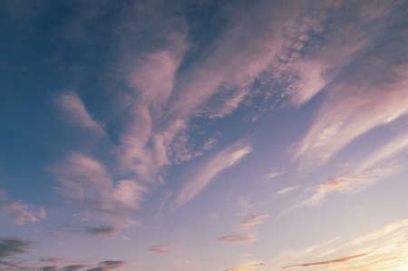 pink clouds over sunset sky. beautiful cloudscapeの写真素材
