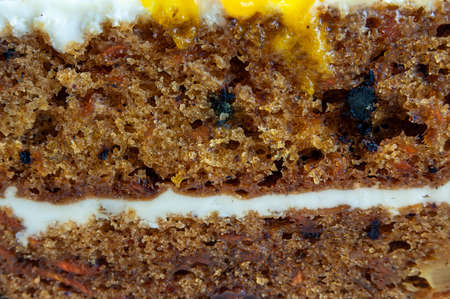texture of a piece of biscuit cake with a layer of creamの写真素材