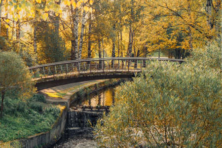 beautiful autumn landscape with a bridge over a small river in the parkの写真素材