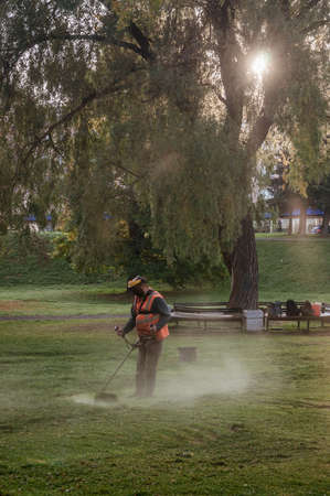 worker in protective mask mows the lawnのeditorial素材