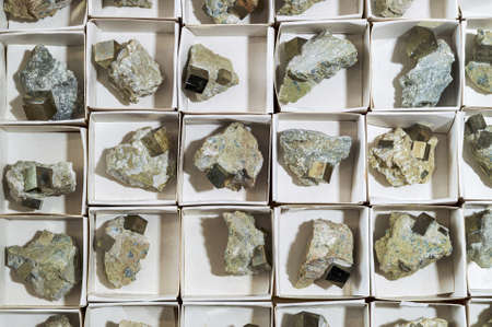 pyrite cubes in rock in white cardboard boxes. View from above