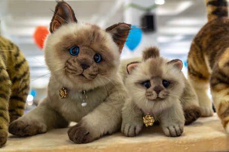funny toy cat with a kitten. toy with moving partsの写真素材