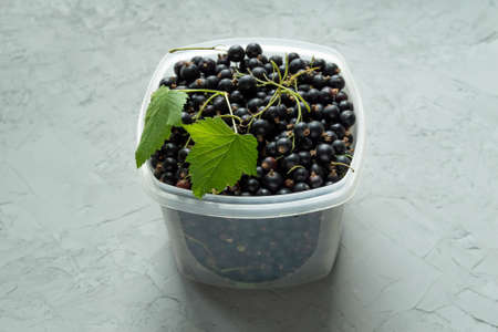 fresh organic black currant in a plastic container. High quality photoの写真素材