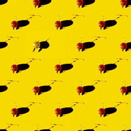beautiful summer pattern of gooseberry. seamless pattern