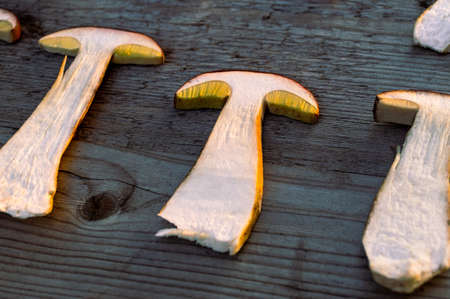 Fresh edible mushrooms are prepared for drying. Mushrooms on wooden background. Selective focus